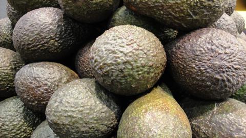 Avocados_FL_2011_nb__2__01.JPG