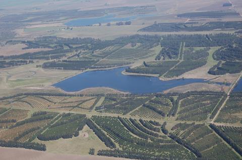 Uruguay citrus aerial