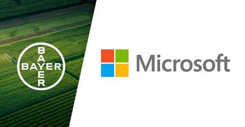 bayer_microsofr.jpg