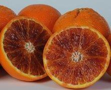 blutorange_sizilien.jpg