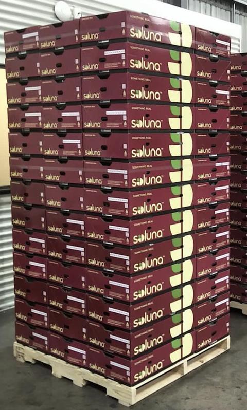 Soluna pallet
