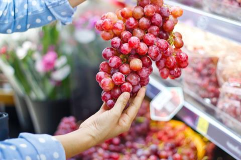 rote trauben-ipopba_AdobeStock_188492621