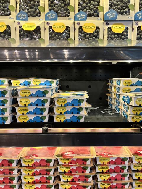 Driscolls berries shelves