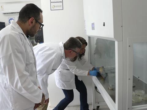 Ecuador new dragon fruit facility