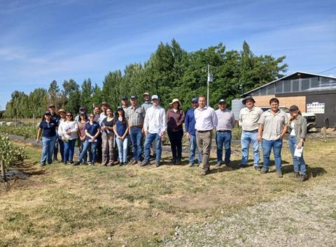 Chilean Blueberry Committee field days