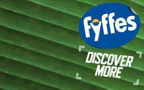 fyffes.jpg