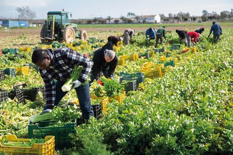 Seasonal workers