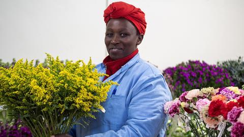 A flower worker at a Fairtrade certified flower farm. Photo/Situma Siepete