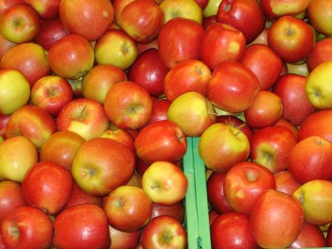 Bio-Äpfel_03.JPG