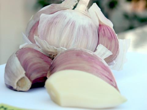 Knoblauch Spanien - W. Schmidt 2