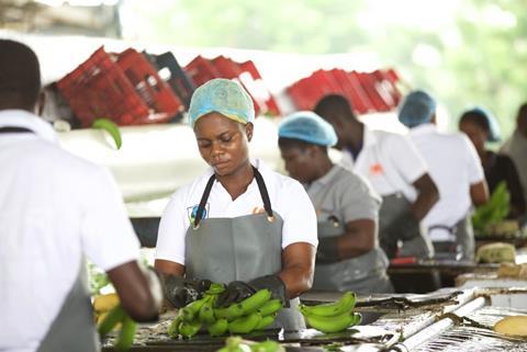 Ghana Fairtrade banana worker (credit James Robinson)