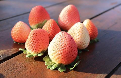 Pink strawberries. Hort Innovation