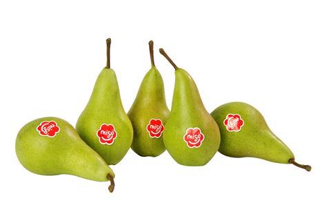 Migo_-pears.jpg
