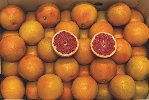 International Company for Packing and Refrigeration