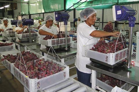 Peru: Auswirkungen der politischen Krise auf das Fruchtgeschäft noch ungewiss