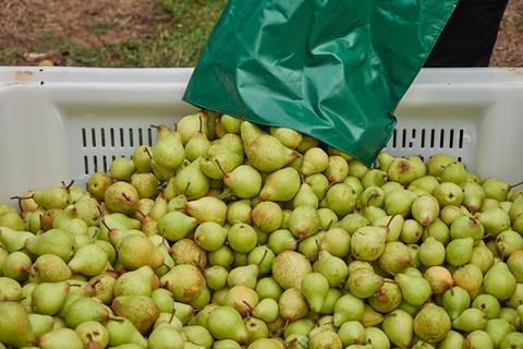 Rocha pears