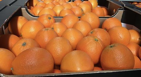 Turkish oranges