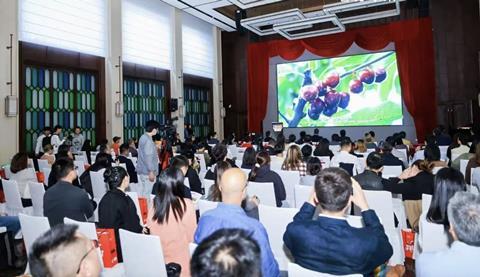 Chilean cherry documentary