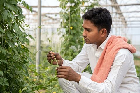 India Dutch greenhouse HortiRoad2India