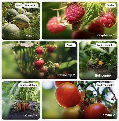 VeggiePedia