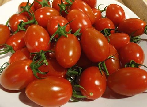 NL-Tomaten.JPG