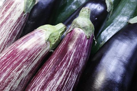 Aubergine__1__01.JPG