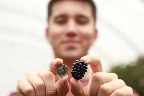 Blackberries' benefits are being highlighted to consumers