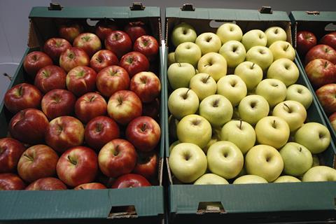 Äpfel_FL_2013__3_.jpg