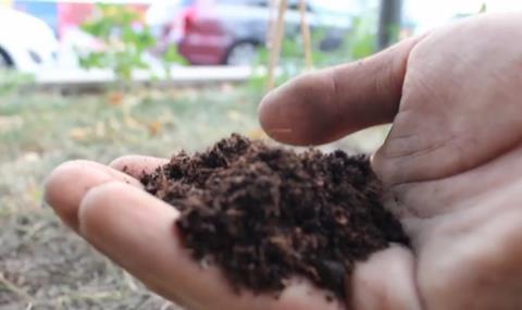 The project is looking for peat alternatives