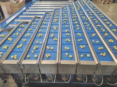 Sorma LCP-128A grape weigher