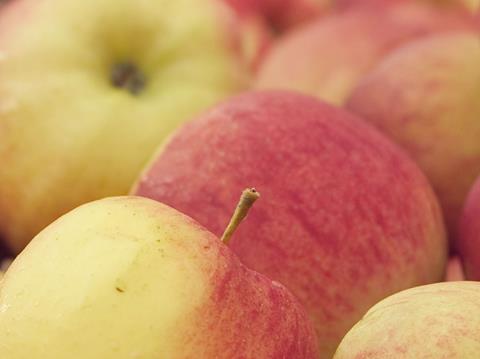 Niederlande: Obstproduzenten wollen sich strategisch besser aufstellen