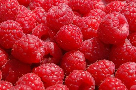 Himbeeren_Schmitd_Spanien_2007__8_.JPG