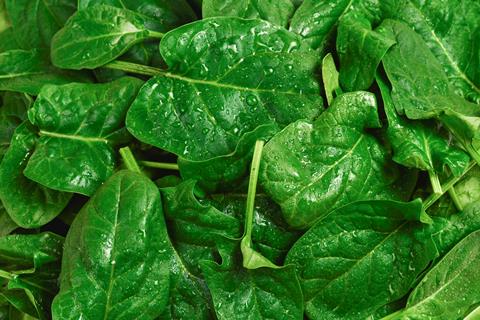 Spinach leaves closeup Adobe Stock