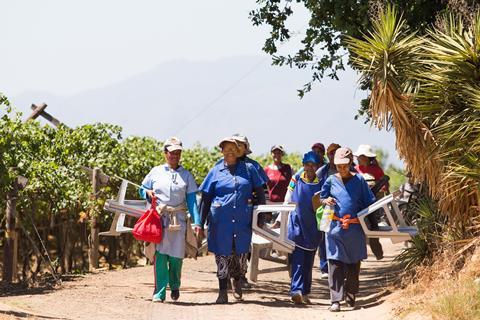 JDK Farms South Africa Kirsten