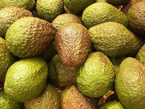 Avocado_Hass_Kolumbien__2__02.JPG