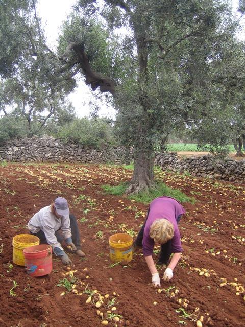 Italien: Bürokratie für landwirtschaftliche Betriebe muss abgebaut werden