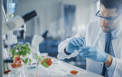 Tomato research laboratory Adobe Stock