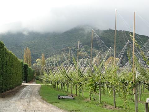 Neuseeland: Wandel zum Gartenbau