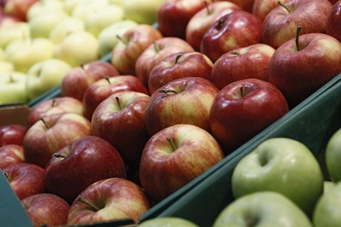Niederlande: Anbau von Bio-Äpfeln nimmt weiter zu