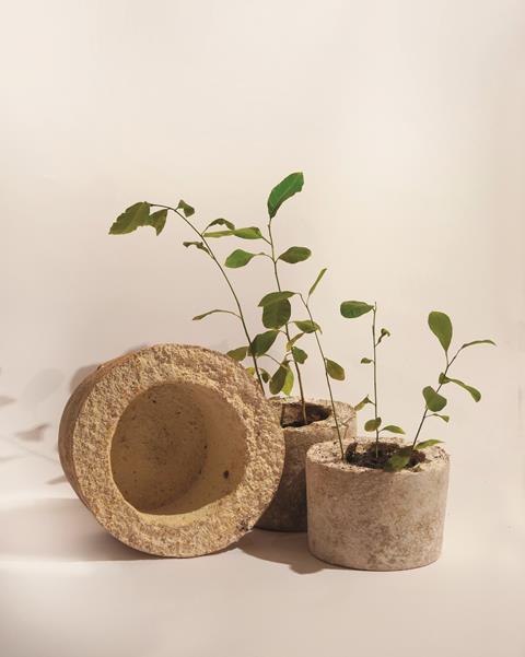 Blumentopf aus Pilzmyzel_Komposit_VSP _ Kernser Edelpilze GmbH