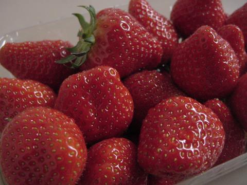 Erdbeeren-Elsanta.JPG