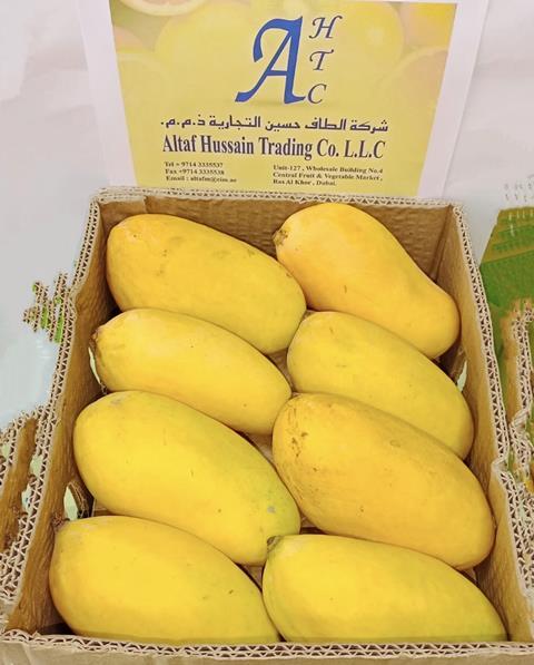 Pakistani mangoes