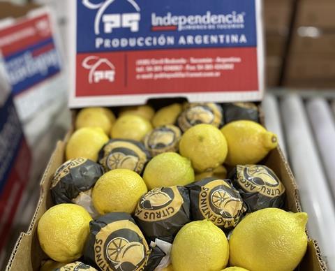 Argentine lemons