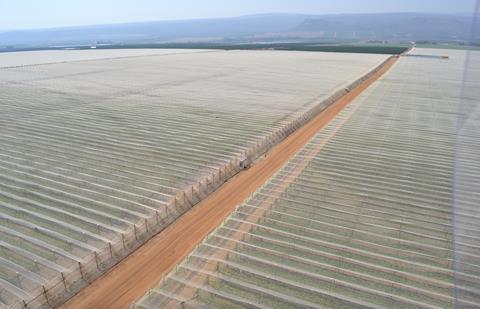 Grapes under netting South Africa