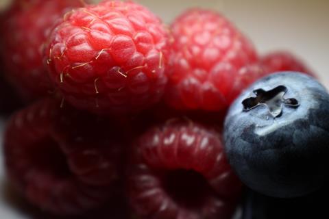 Himbeeren und Blaubeeren im Makro