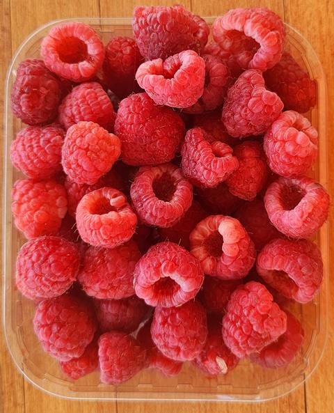 himbeeren bulgarien - ralf petrov