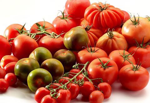 Belgien_tomaten.jpg