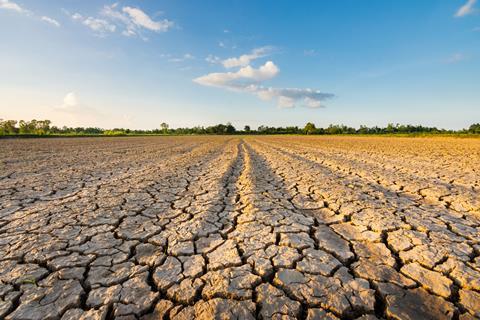 UK growers have been challenged by a lack of rain this year