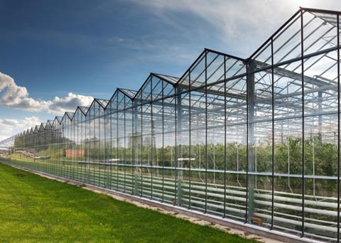The work will improve the potential of glasshouse lighting