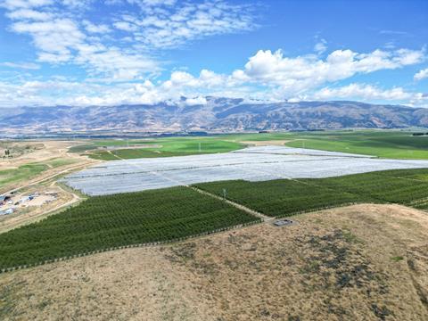 DJI_0087 (1)